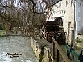 DSC09745