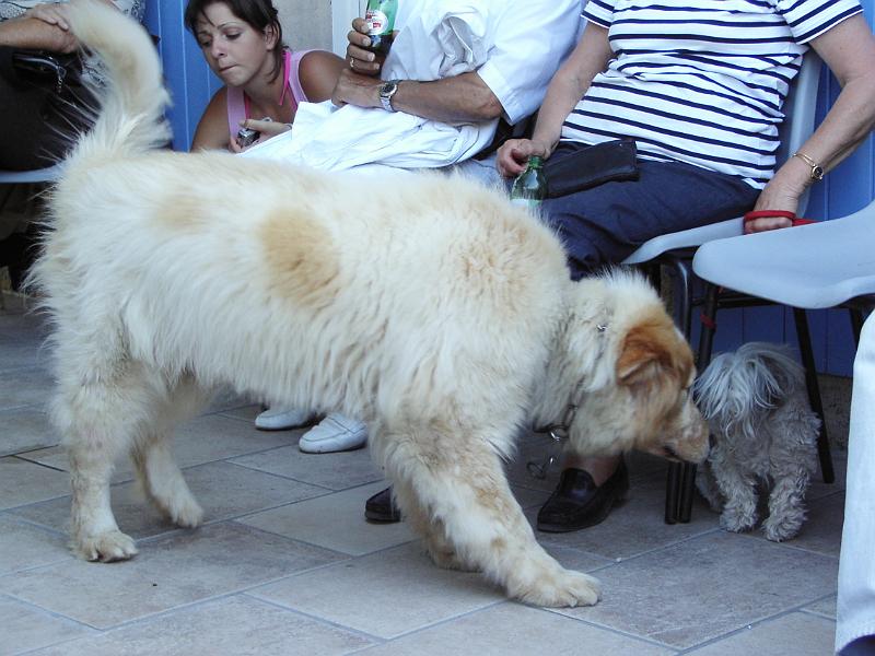 RIF_0061.JPG